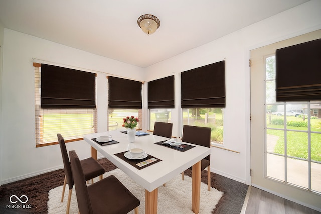 dining area featuring a wealth of natural light and dark wood-type flooring