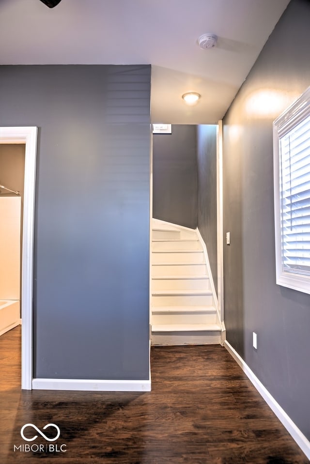 stairs with wood-type flooring