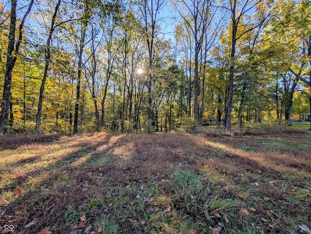 view of local wilderness