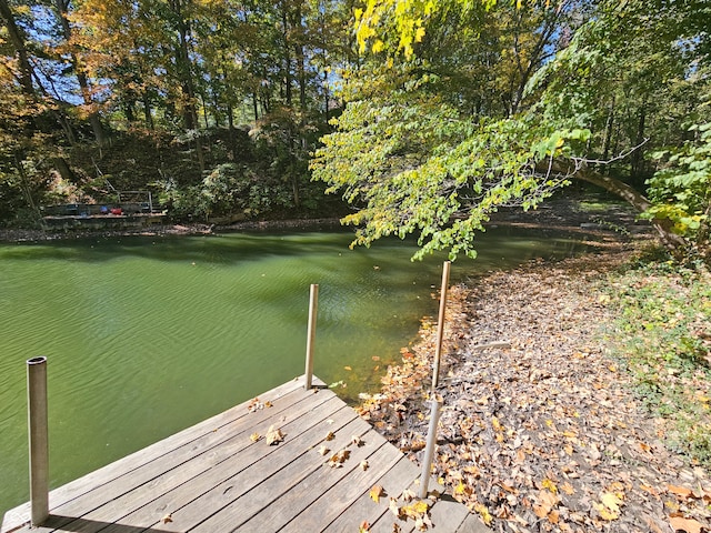 dock area with a water view