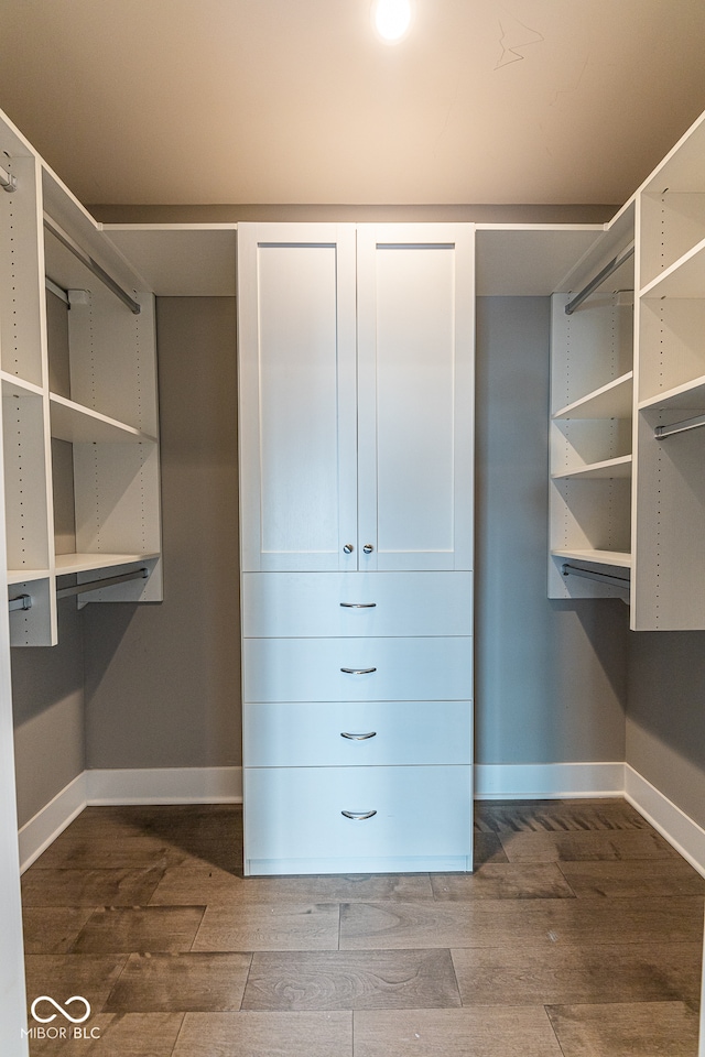 walk in closet with hardwood / wood-style floors