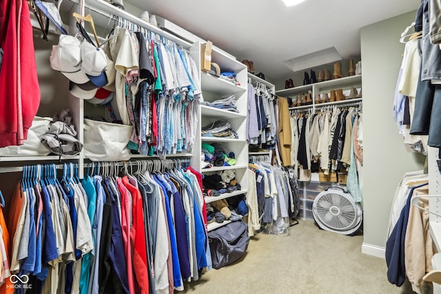 walk in closet featuring light colored carpet