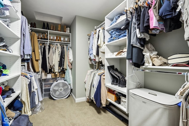 walk in closet with light carpet