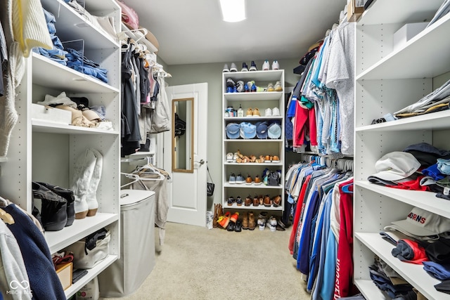 walk in closet with light colored carpet