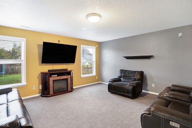 carpeted living room with a textured ceiling and a wealth of natural light