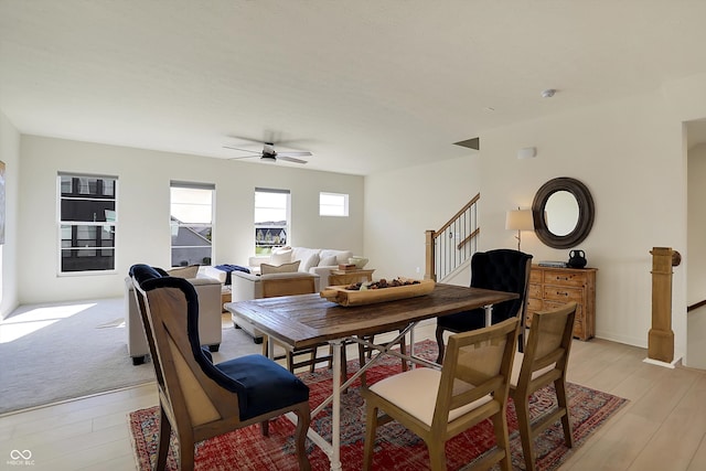 dining room with light hardwood / wood-style floors and ceiling fan