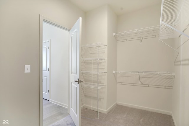 walk in closet featuring light colored carpet