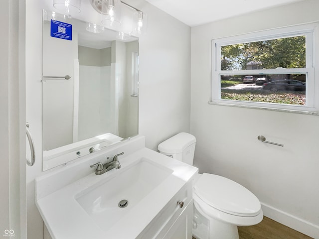 bathroom featuring vanity, toilet, and hardwood / wood-style flooring