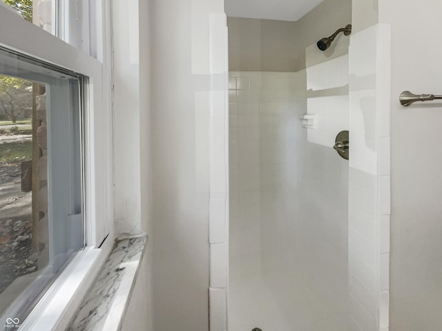 full bath with walk in shower