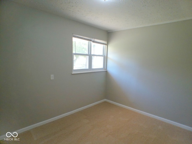 empty room featuring a textured ceiling and carpet floors