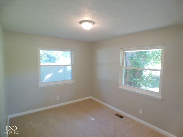 carpeted empty room with a healthy amount of sunlight