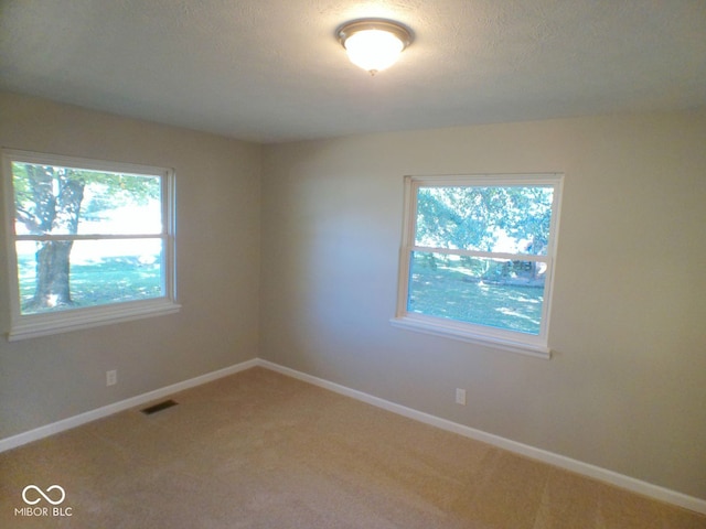 unfurnished room featuring carpet, a textured ceiling, and plenty of natural light