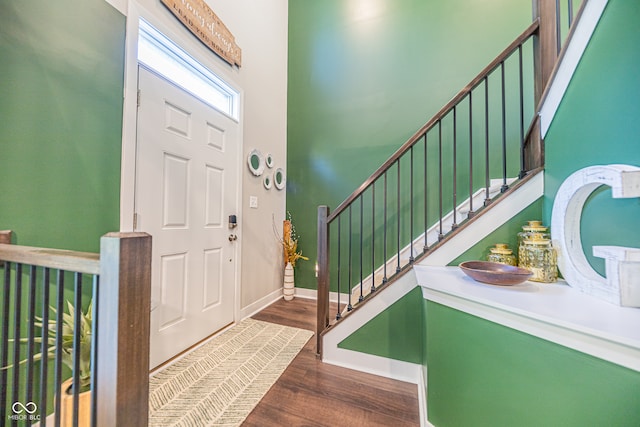 foyer entrance featuring dark wood-type flooring