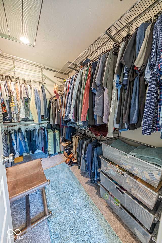 view of spacious closet