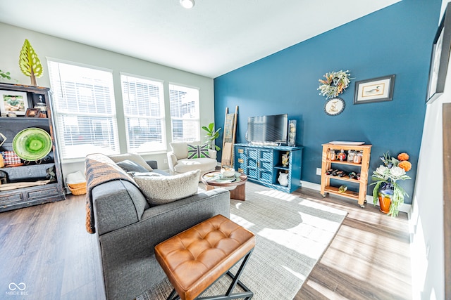 living room with hardwood / wood-style flooring