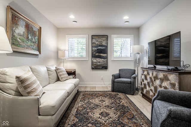 living room with light hardwood / wood-style floors and a healthy amount of sunlight