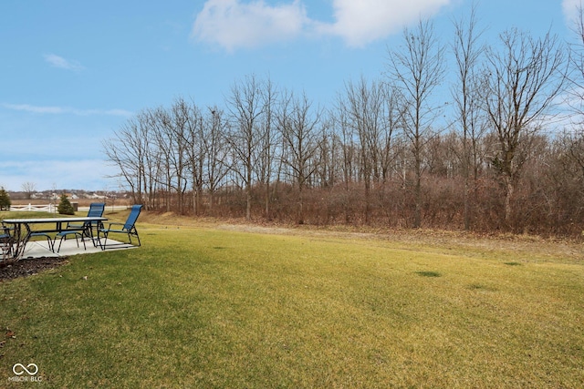 10008 Sundley Dr, Indianapolis, IN 46239 - view of yard featuring a patio area