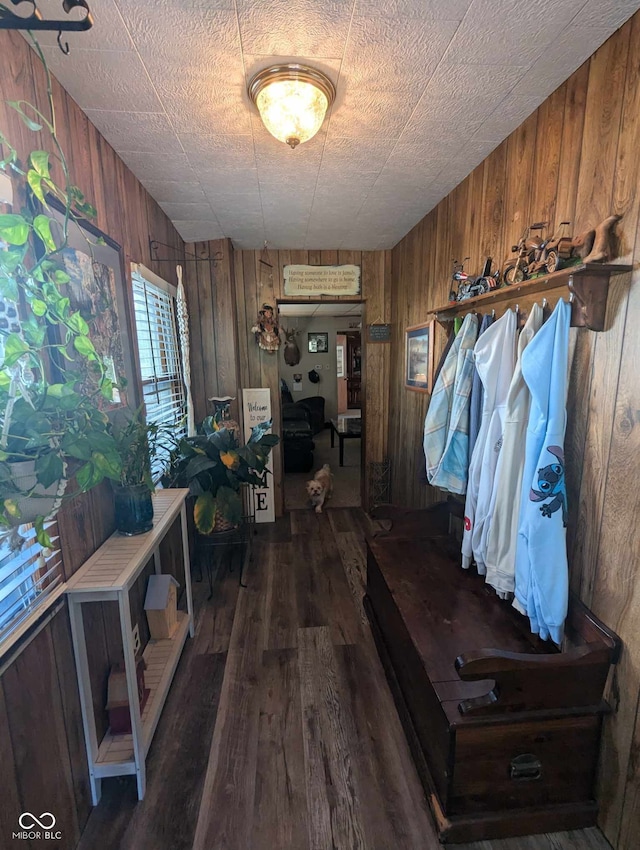 interior space featuring dark hardwood / wood-style flooring and wood walls