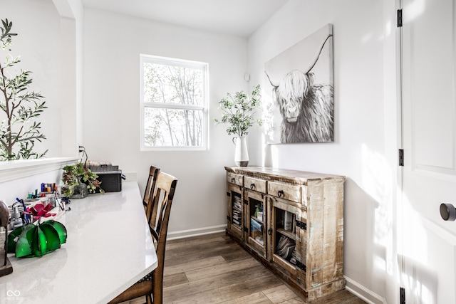 office space with hardwood / wood-style flooring