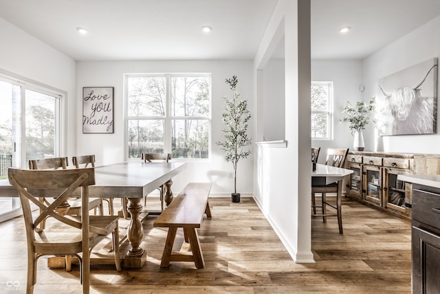 dining area with a wealth of natural light and light wood-type flooring