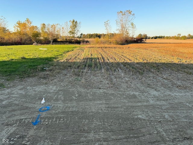 view of yard featuring a rural view