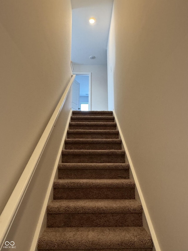 staircase featuring carpet