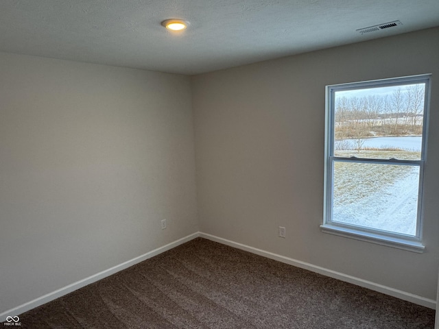 spare room with a wealth of natural light, carpet floors, and a textured ceiling