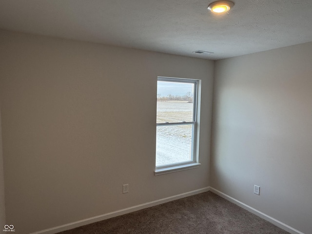 spare room with carpet floors and a textured ceiling