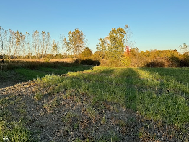 view of landscape with a rural view