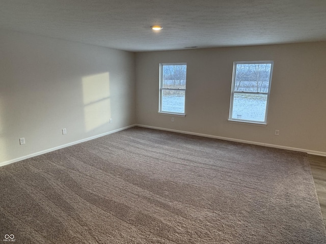 unfurnished room with carpet flooring and a textured ceiling