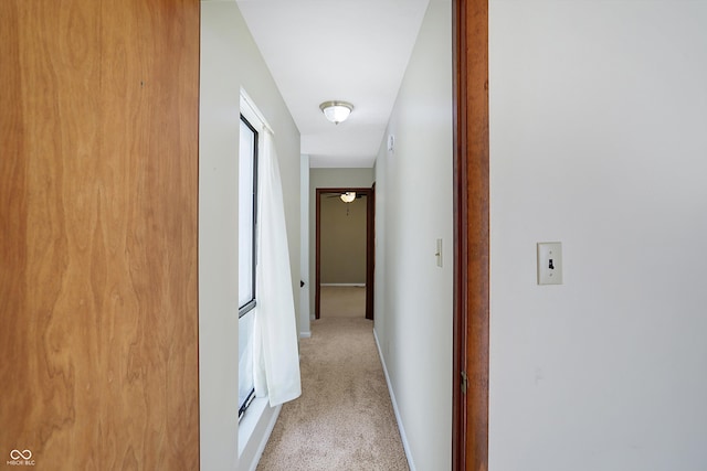 hallway featuring light carpet and a healthy amount of sunlight