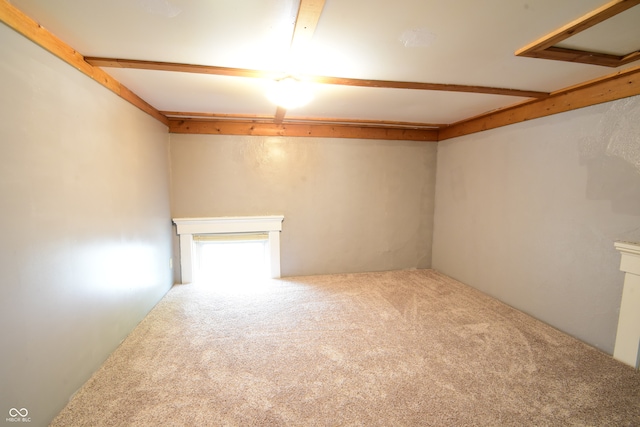 basement with carpet floors