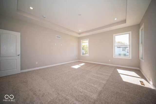 spare room featuring carpet floors and a raised ceiling