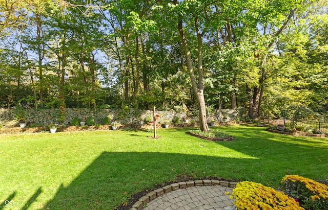 view of yard with a patio area