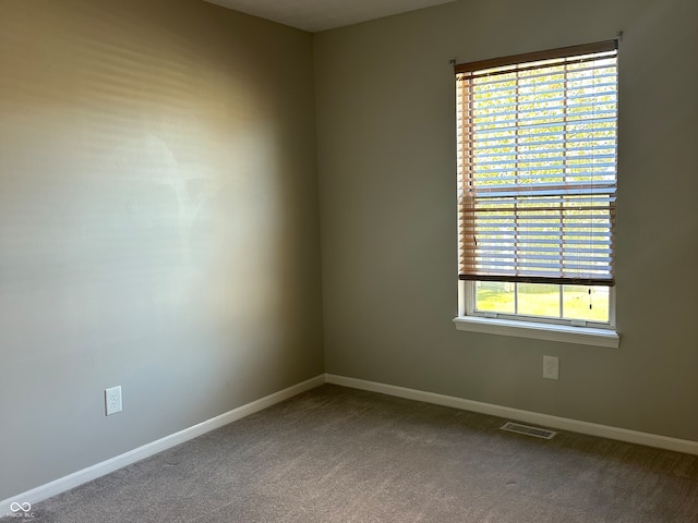 view of carpeted spare room