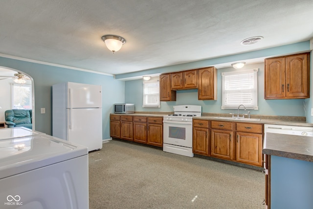 kitchen with a healthy amount of sunlight, sink, light carpet, and white appliances