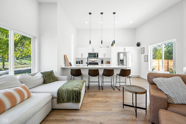 living room featuring a high ceiling and light wood-type flooring