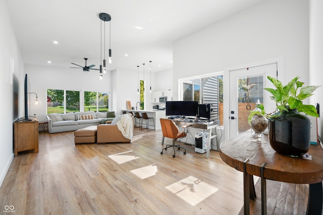 living room with a towering ceiling, light hardwood / wood-style flooring, and a wealth of natural light