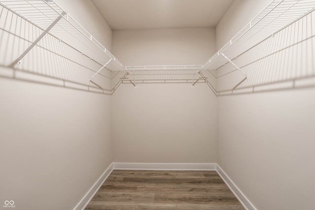 walk in closet with wood-type flooring