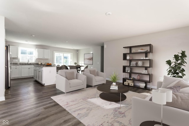 living room with sink and dark hardwood / wood-style floors