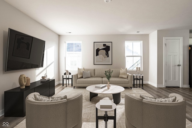 living room with wood-type flooring