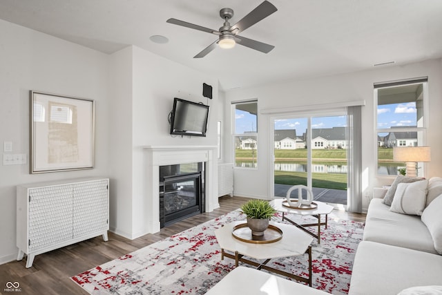802 Weldon Way, Westfield, IN 46074 - living room with wood finished floors, a glass covered fireplace, ceiling fan, and radiator