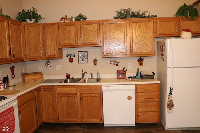 kitchen with sink, dark wood-type flooring, and white appliances