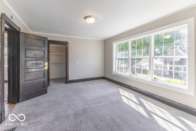 unfurnished bedroom with ornamental molding, light carpet, and a textured ceiling