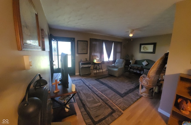 living room with light hardwood / wood-style floors and a healthy amount of sunlight