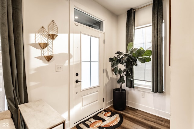 entryway with dark wood-type flooring