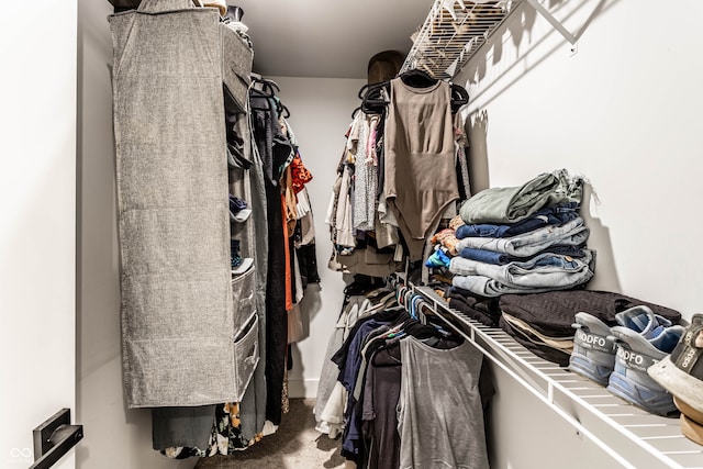 view of spacious closet