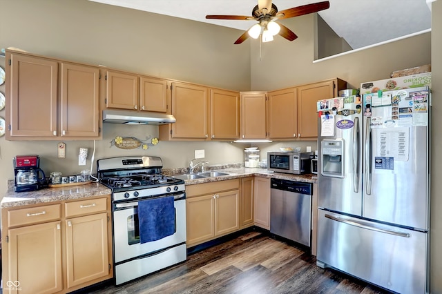 kitchen featuring sink, high vaulted ceiling, dark hardwood / wood-style floors, appliances with stainless steel finishes, and light brown cabinetry