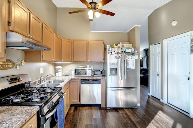 kitchen with appliances with stainless steel finishes, light brown cabinets, sink, dark wood-type flooring, and ceiling fan