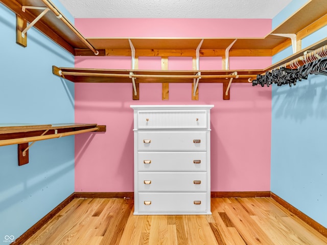 spacious closet featuring light wood finished floors